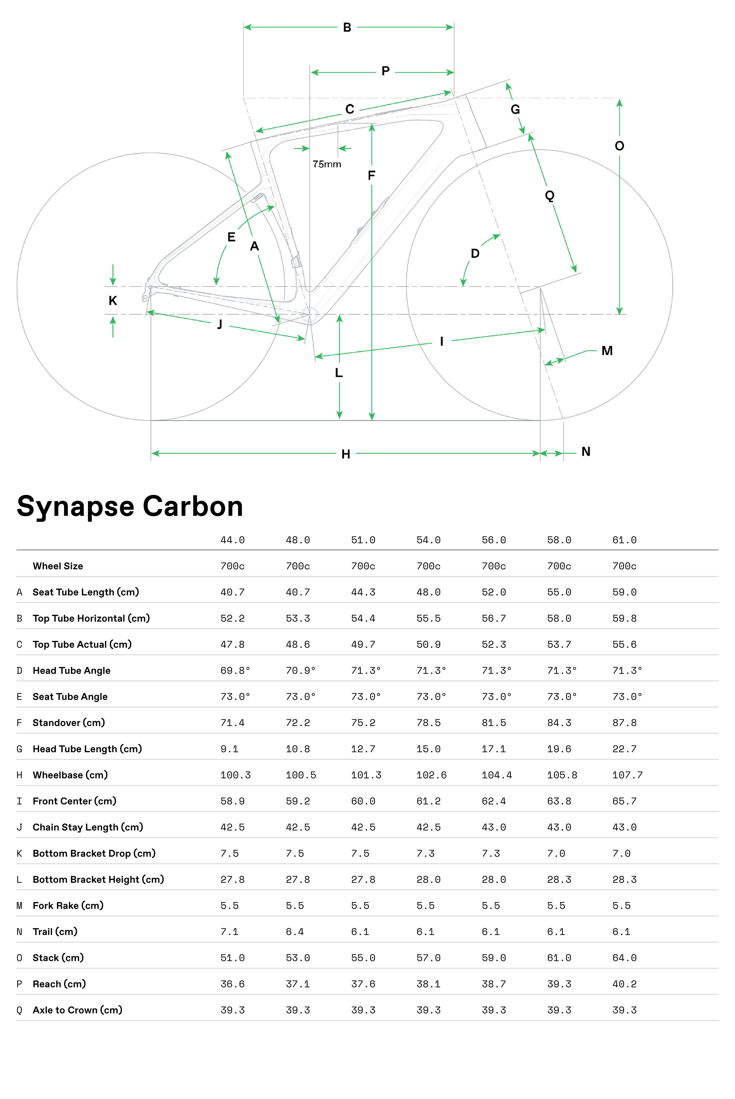 Cannondale Synapse Carbon 2 13